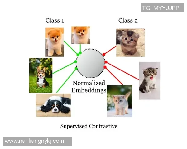 耀世娱乐在对比学习算法中的应用与发展趋势分析