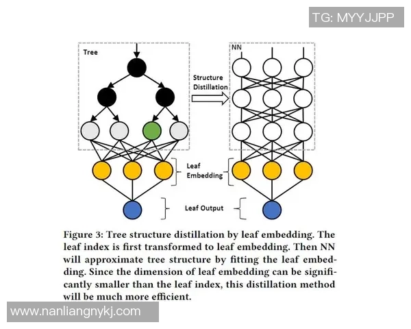 耀世娱乐对比学习算法的创新应用与传统算法的优势分析