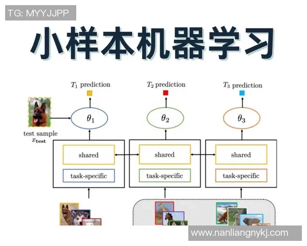 耀世娱乐小样本学习框架的创新应用与发展前景探讨 耀世娱乐小样本学习框架的创新应用与发展前景探讨