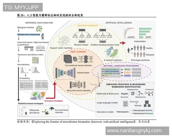红桃国际鲁棒性AI系统助力智能决策与风险管理的创新发展之路