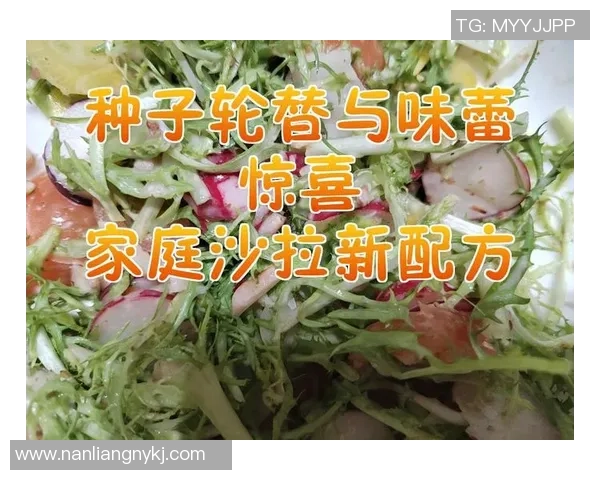 全球种子沙拉大赛盛大开启悉尼各国厨师齐聚争夺美食桂冠 全球种子沙拉大赛盛大开启悉尼各国厨师齐聚争夺美食桂冠